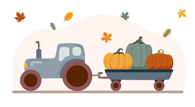 Vector tractor with pumpkins2