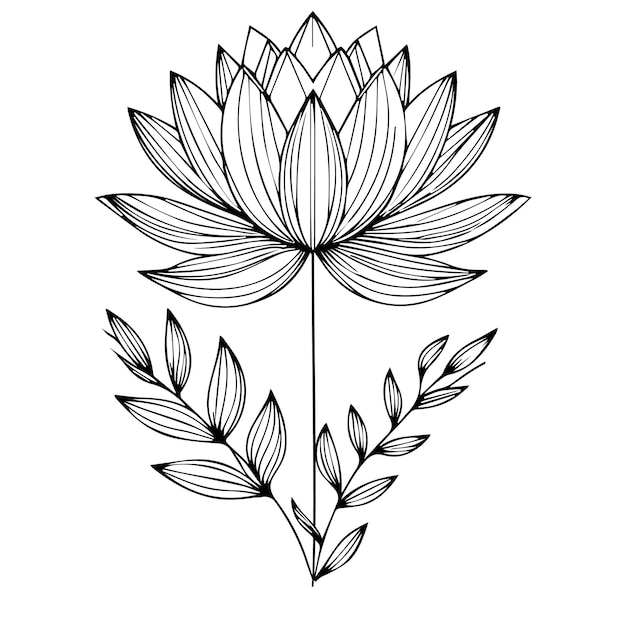 Vector traditional waterlily tattoo a bouquet of waterlily flower line drawing waterlily coloring page