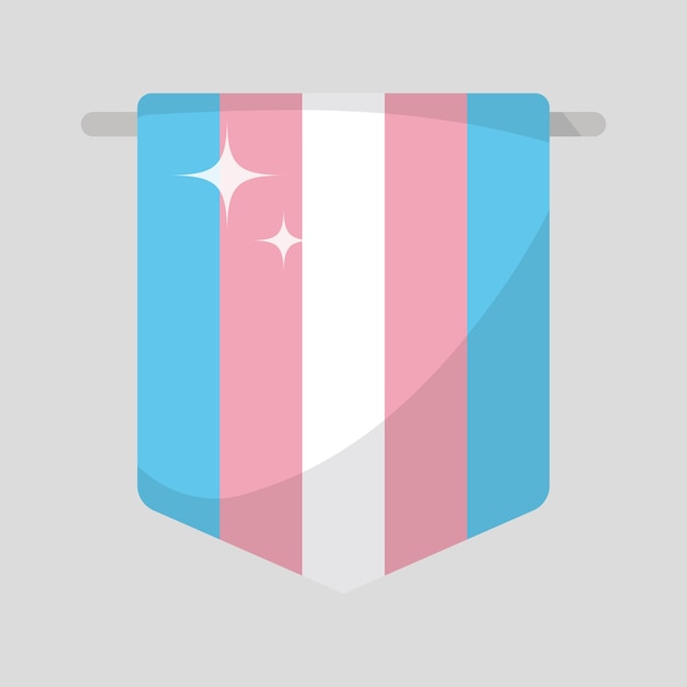 Vector transgender flag vector illustration