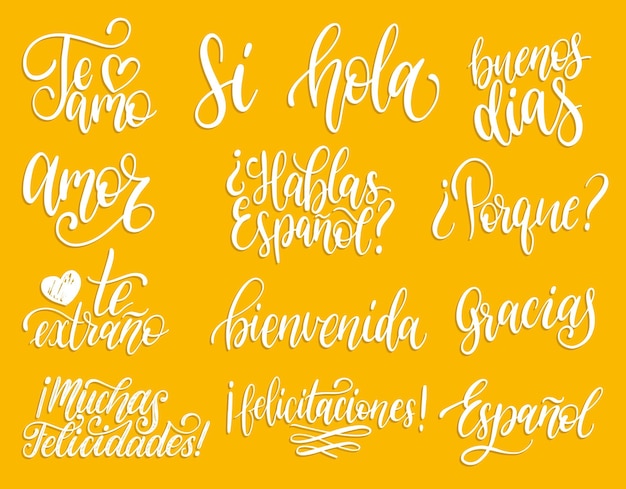 Tradotto dallo spagnolo frasi scritte a mano benvenuto grazie sì ecc calligrafia vettoriale impostata su sfondo bianco
