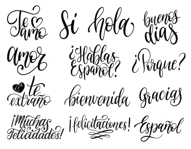 Vector translated from spanish handwritten phrases welcomethank you yes etc vector calligraphy set on white background