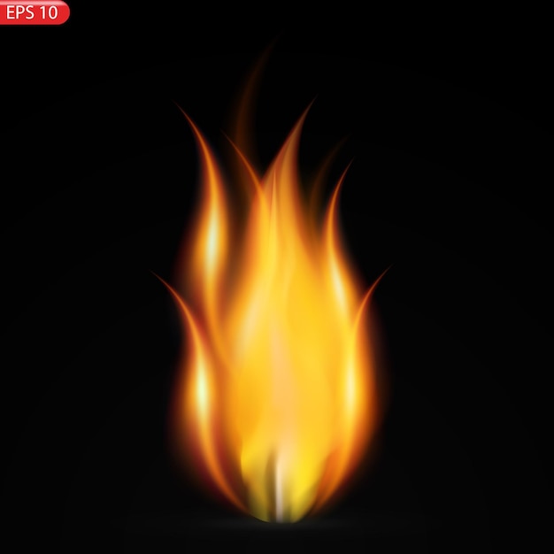 Translucent fire flames and sparks with horizontal repetition on transparent background For used on