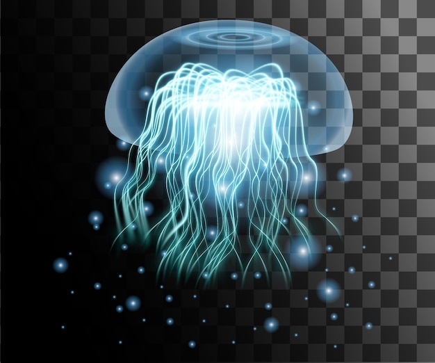 Transparent blue jellyfish on transparent background