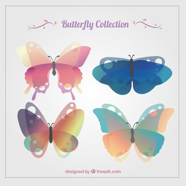 Collezione di farfalle trasparente