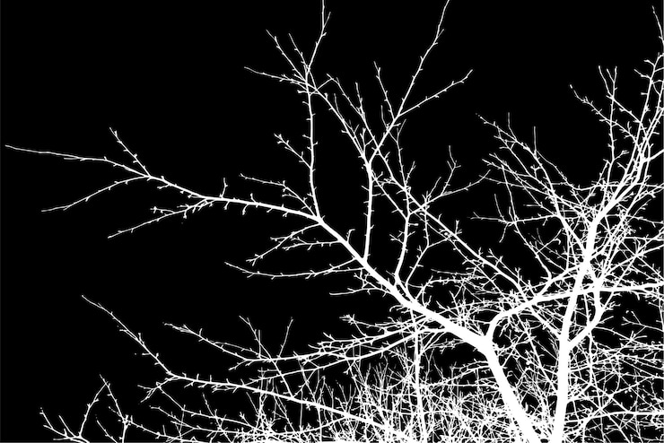 Vector transparent complex silhouette of tree branches artistically designed on a dark background