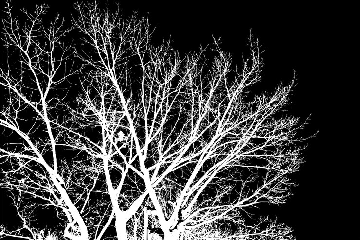Vector transparent complex silhouette of tree branches artistically designed on a dark background
