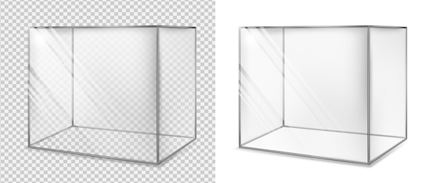 투명 유리 큐브 현실적인 수족관 특별 쇼케이스