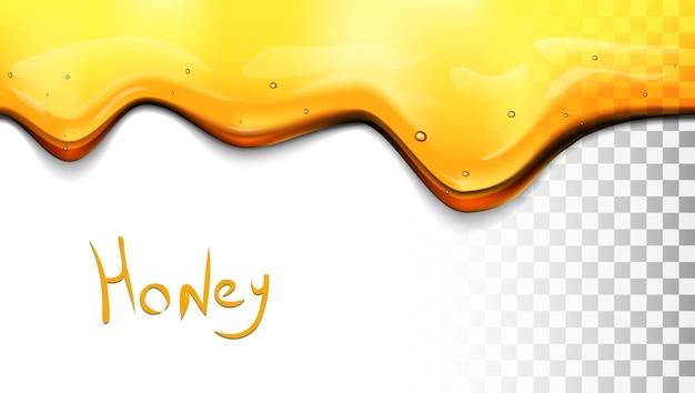 Vector transparent horizontal seamless flow down dripping honey