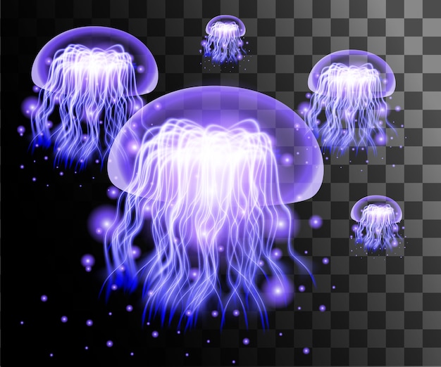 Vector transparent purple jellyfish on transparent background.