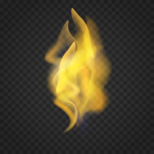 Vector transparent realistic fire flame isolated on dark background