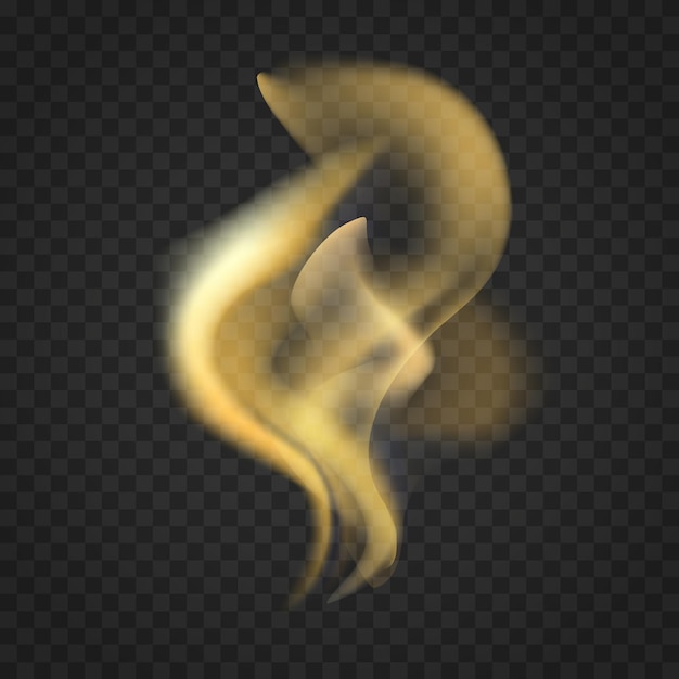 Transparent realistic fire flame