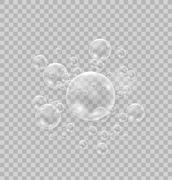 Transparent realistic soap bubbles isolated on transparent background.