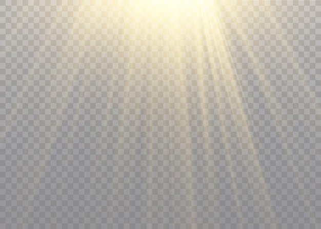 Vector transparent sunlight effect. sunbeam and rays.