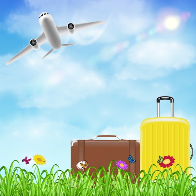 Travel bag on grass flower with airplane in sky