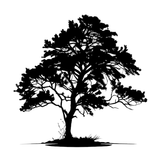 Черный силуэт дерева Реалистичный силуэт дерева изолированный элемент Черная форма тени изолирована