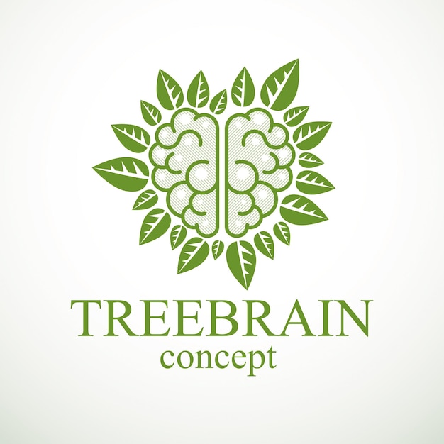 Концепция Tree Brain, мудрость природы, разумная эволюция. Анатомический мозг человека в форме дерева с зелеными листьями. Питание мозга диетическими продуктами. Векторный логотип или значок.