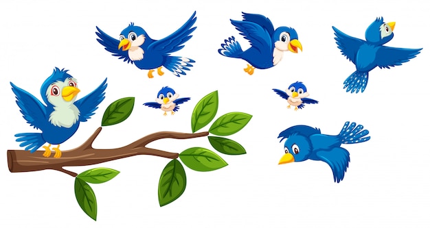 tree branch and birds collection