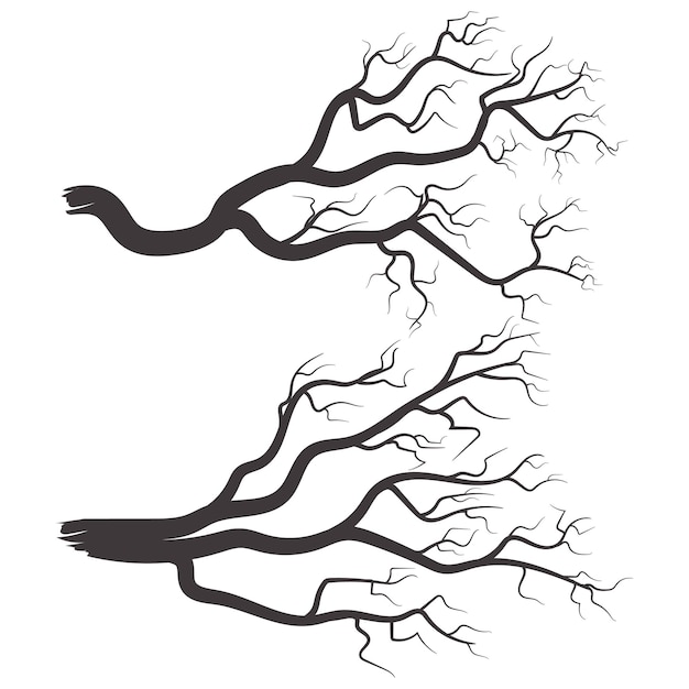 Tree branch silhouette collection