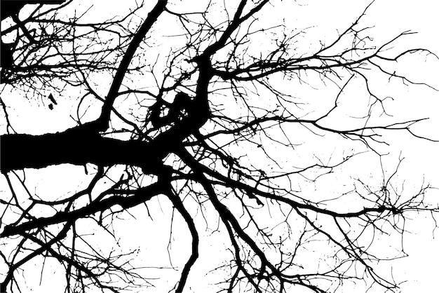 Vector tree branch silhouette on transparent background