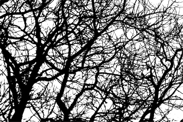 Vettore siluetta del ramo di un albero su sfondo trasparente
