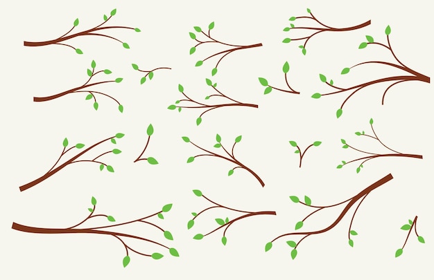 Векторная иллюстрация ветви дерева
