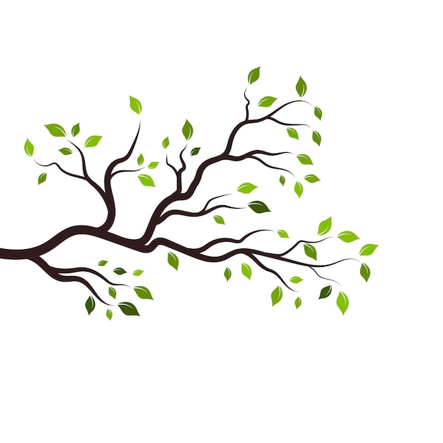 Tree branch vector ilustration design