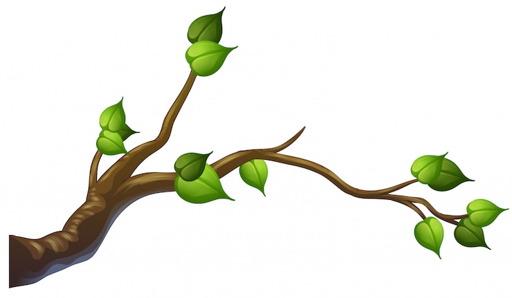 Vector tree branch on white background