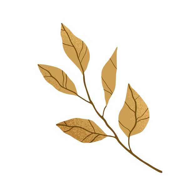 Tree branch with autumn brown leaves. Hand-drawn twig of fall foliage plant. Botanical element isolated on white background. Colored flat vector illustration.