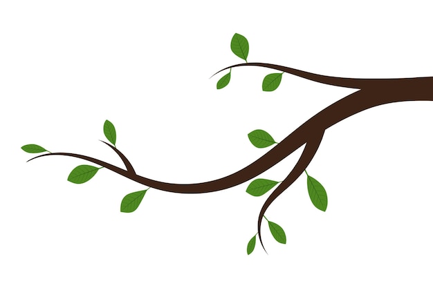 Tree branch with green leaves. Vector illustration. Abstract branch with leaves, isolated.