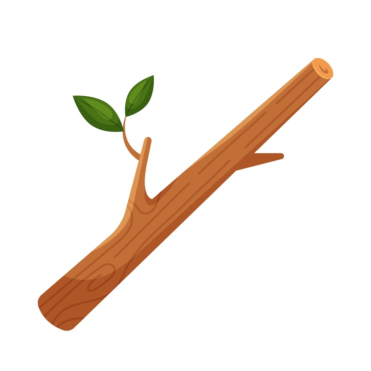 Tree branch with leaves in flat cartoon style
