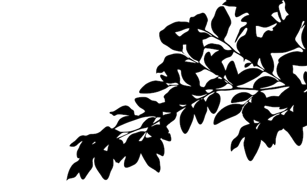 Tree branch with leaves vector silhouette copy space isolated on white background front view