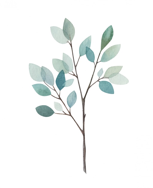 Vector tree branch with leaves watercolor illustration on white background