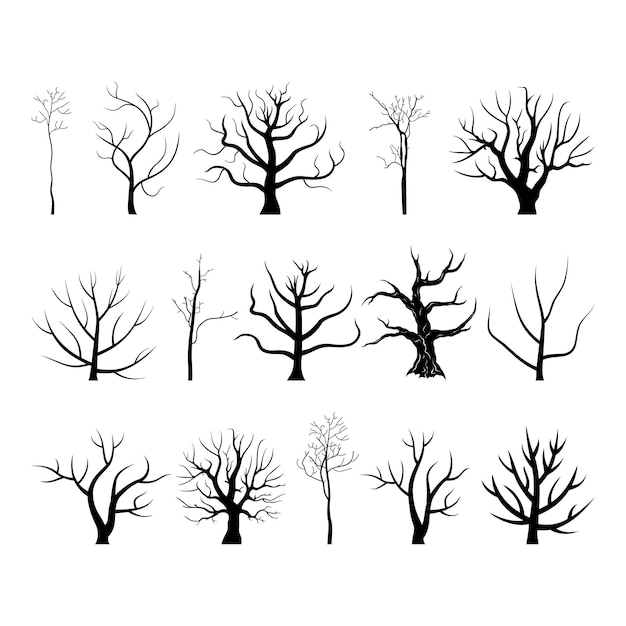 Vector tree branch4