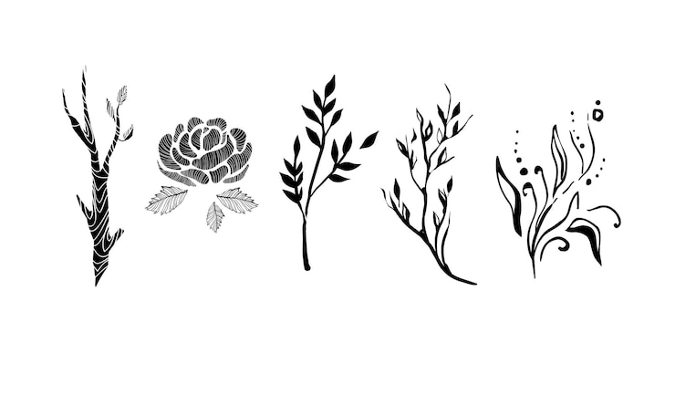 Vector tree branches flowers and plants set monochrome botanical design elements vector illustration isolated on a white background