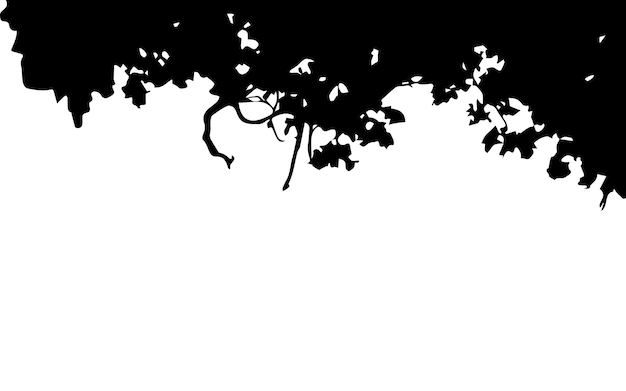 Tree branches and leaves on above copy space silhouette vector isolated on white background