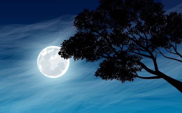 Tree branches in the moonlight