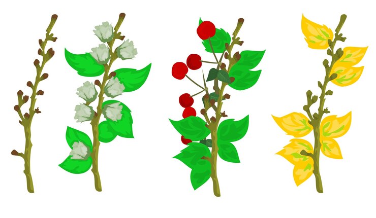 Vector tree bud isolated illustration