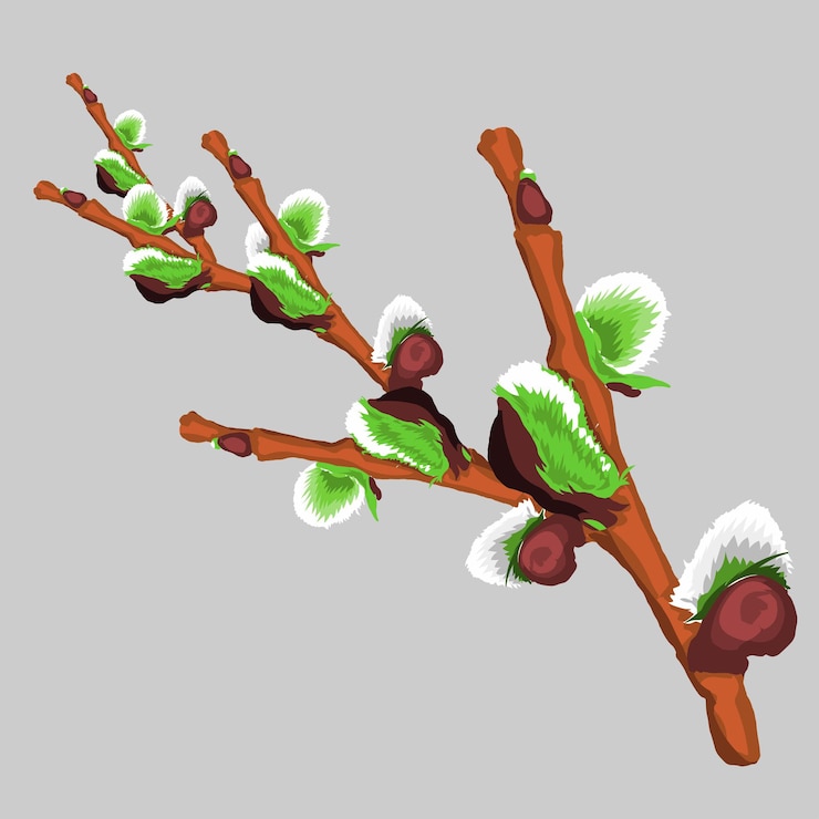 Vector tree buds isolated illustration