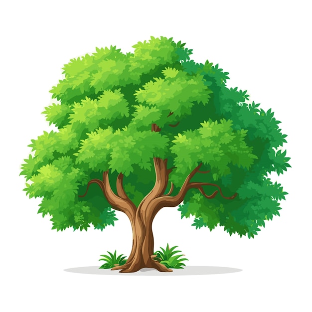 Tree cartoon vector op een witte achtergrond