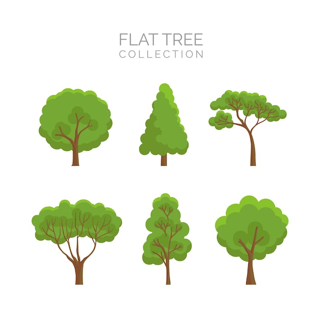 Vector tree collection in flat style