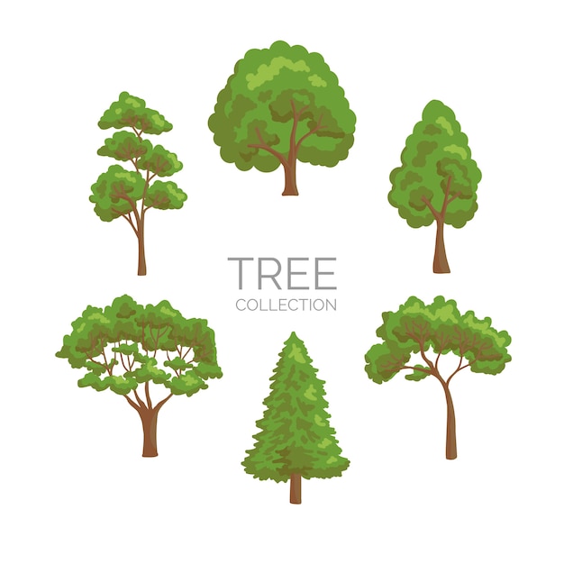 Vector tree collection