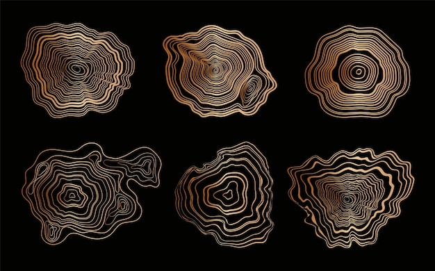 Tree cut pattern vector topographic map concept
