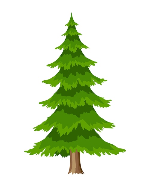 Tree Eco concept of nature plant Vector flat spruce evergreen coniferous tree icon isolated on white background Garden botanical element