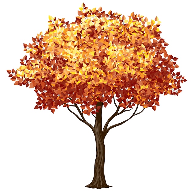 Vector tree in fall isolated on white