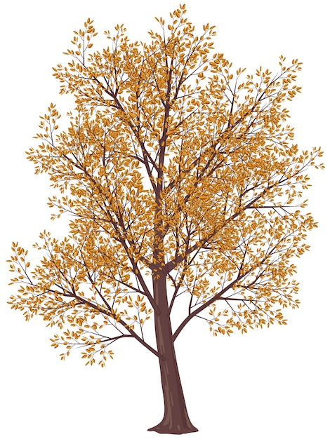 Vector tree in fall