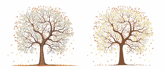 Tree in four seasons autumn