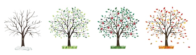 Vector tree four times a year in spring summer autumn and winter season