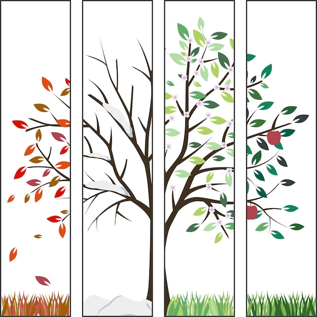 Vettore albero quattro volte all'anno in primavera estate autunno e inverno una serie di immagini delle quattro stagioni