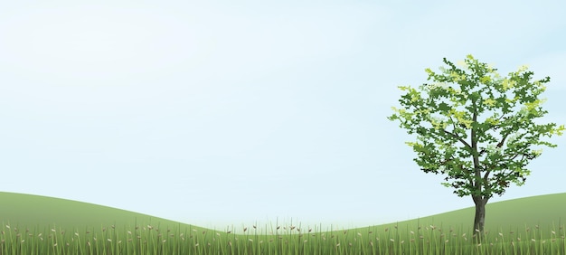 Tree in green grass hill area with blue sky. Vector illustration.