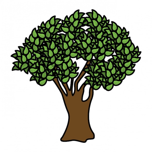 Vector tree green nature